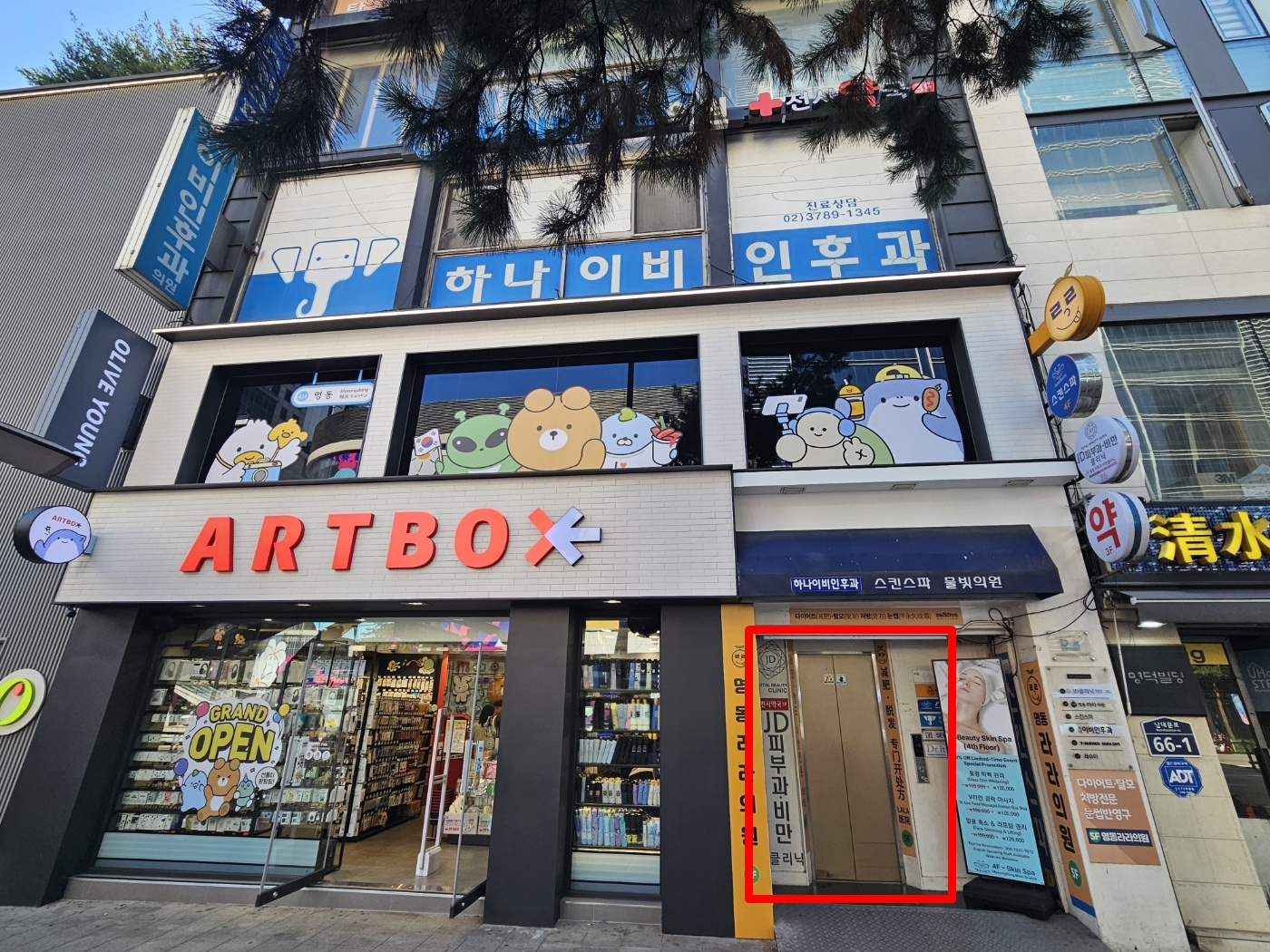 JD Clinic 명동점